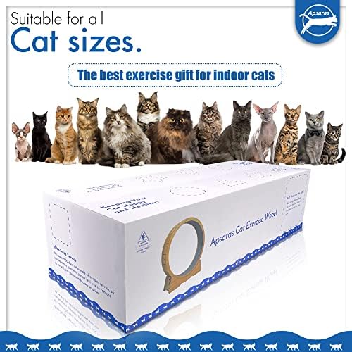 Колело за упражнения HYPULY Cat за котки в затворени помещения, Голяма 42,5-инчов неблагодарна за котки, симулатор за фитнес и здравословен,